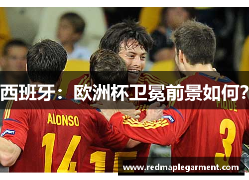 西班牙：欧洲杯卫冕前景如何？