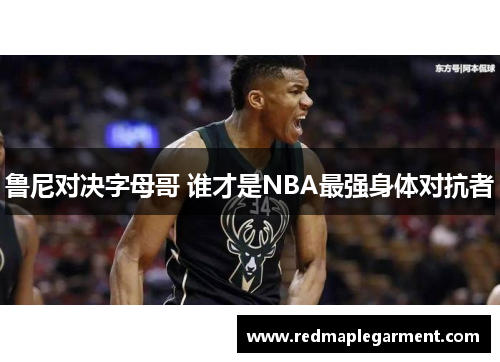 鲁尼对决字母哥 谁才是NBA最强身体对抗者