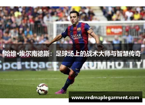 哈维·埃尔南德斯：足球场上的战术大师与智慧传奇